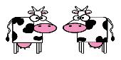 Cartoon Cows x2