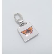 Butterfly 2 sq