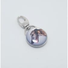 Greyhound