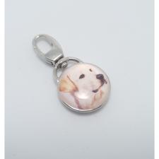 Yellow Labrador